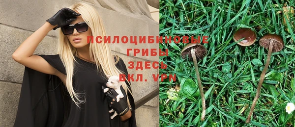 спайс Белокуриха